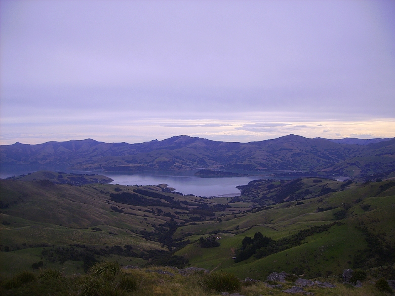 PICT2558.JPG - Akaroa Harbour from Summit Road