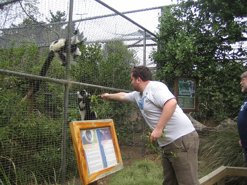 IMG_2096.JPG - Matthew feeding some lemurs (Chris watching)