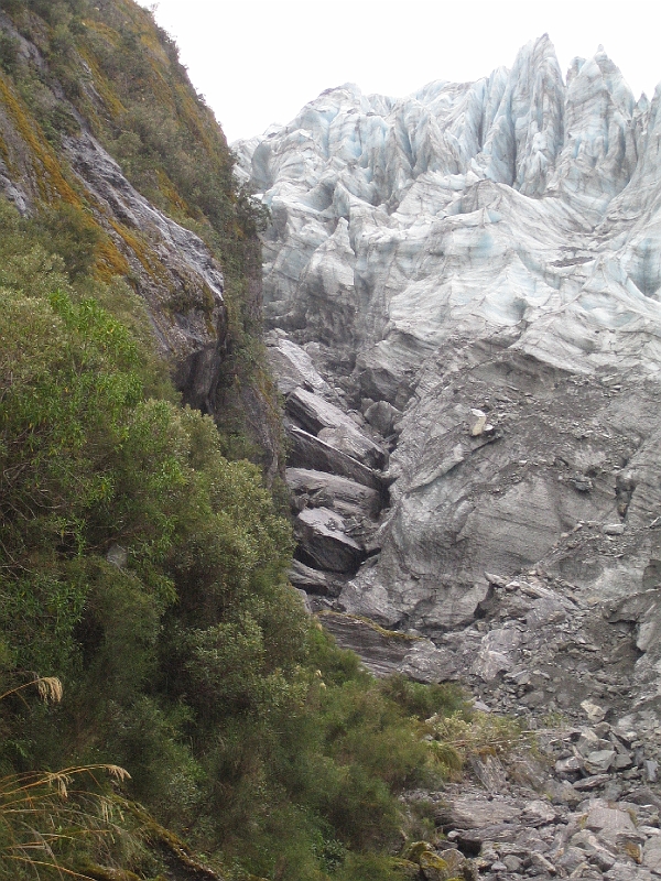 IMG_2211.JPG - The walk to Fox Glacier