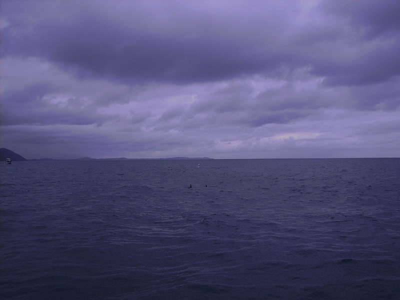 PICT2730.JPG - Dolphin watching