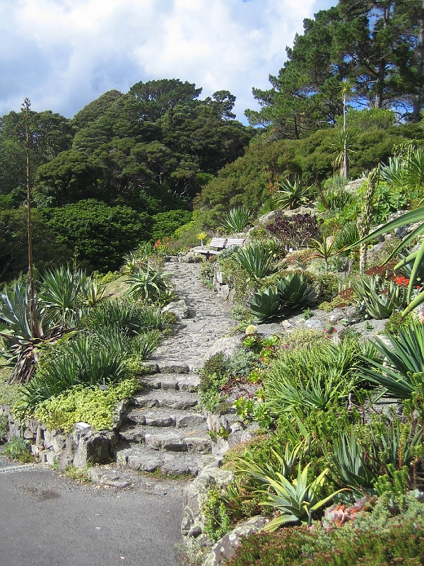 IMG_2354.JPG - Wellington Botanic Garden