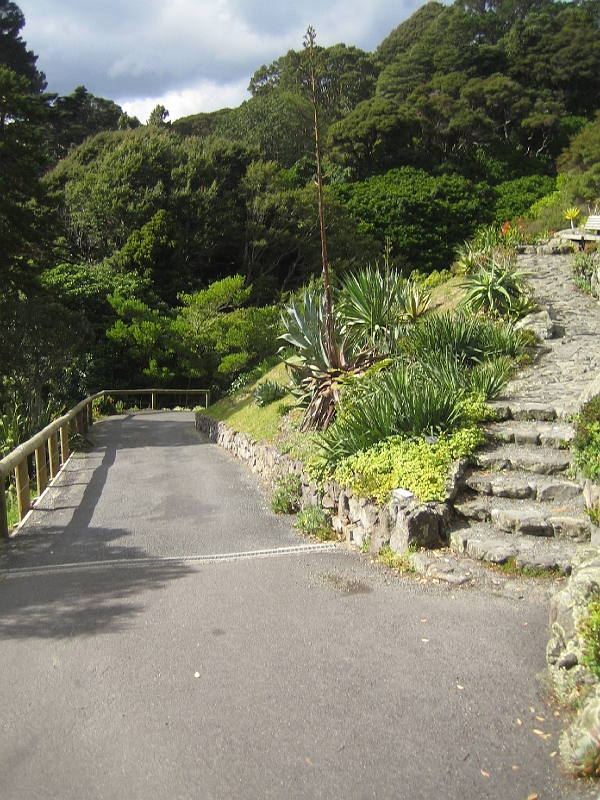 IMG_2355.JPG - Wellington Botanic Garden