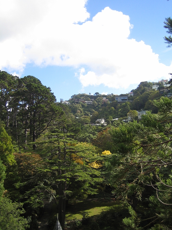 IMG_2359.JPG - Wellington Botanic Garden