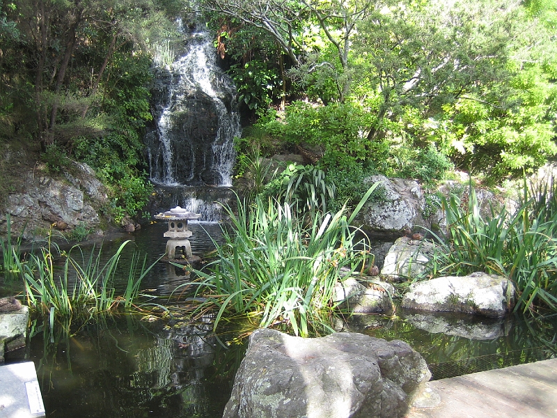 IMG_2363.JPG - Wellington Botanic Garden